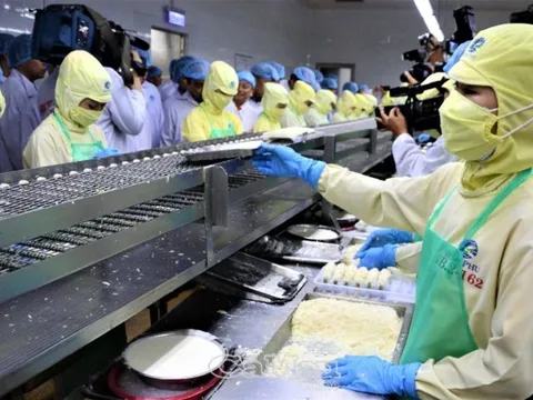 "Vua tôm" lần đầu báo lỗ sau 8 năm