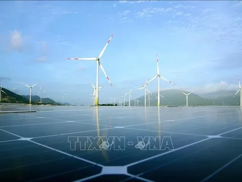 Dẫn vốn cho tăng trưởng xanh
