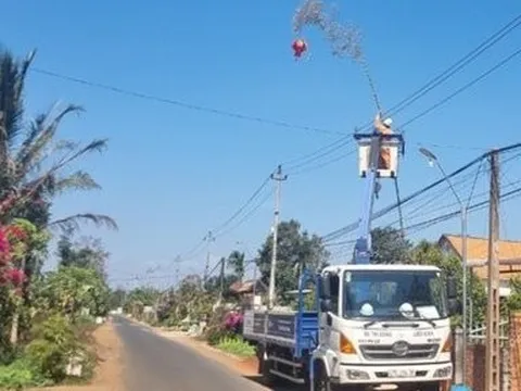 Nguy hiểm khôn lường khi dựng cây nêu vi phạm an toàn lưới điện