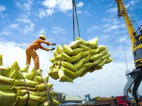 5 "vị Vua" mang về hàng chục tỷ USD, xây vị thế rực rỡ cho Việt Nam trên thị trường quốc tế