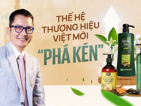 "Đàn kiến" nhỏ đang đe dọa thị phần của "chú voi" Unilever, P&G: Bồ kết, hà thủ ô, gừng sả... đem về gần 2.000 tỷ đồng cho Nguyên Xuân, Cocoon, Namnung,... trên TMĐT