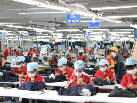 Hướng dẫn mới nhất về bảo hiểm thất nghiệp áp dụng từ ngày 15-2