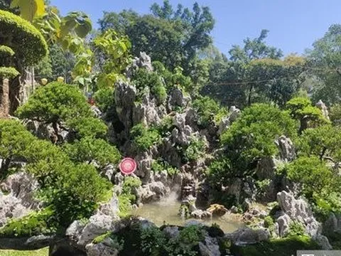 Ngắm những tác phẩm độc lạ tại Hội hoa xuân thành phố Hồ Chí Minh