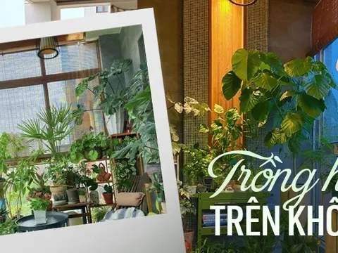 Ban công nhỏ chỉ 3m2 cũng có thể biến thành một “khu vườn trên không”, nếu không tin hãy xem ngay bài viết này!