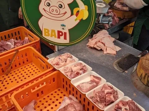 So kè lợi nhuận ‘heo ăn chuối’ (HAG) và ‘heo ăn chay’ (BAF)