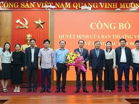 Bổ nhiệm, kiện toàn nhân sự 15 tỉnh thành