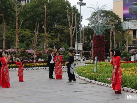 Hải Phòng: Đón gần 17.000 lượt du khách quốc tế trong dịp Tết