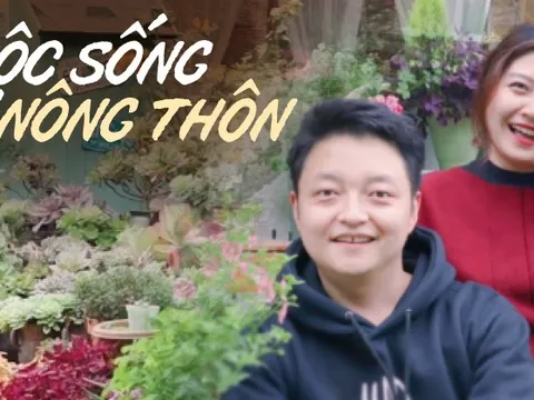 Rời bỏ thành phố, cặp vợ chồng về quê thuê 1 căn nhà cũ và cải tạo lại, sống một cách thảnh thơi