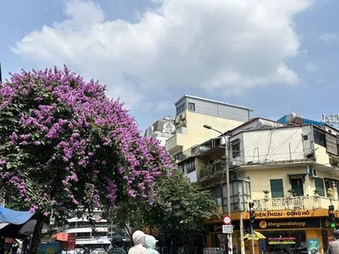 Hà Nội sắp đón những ngày nóng bất thường trong tháng 2