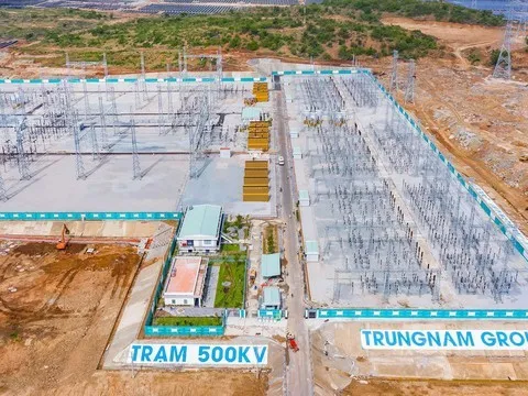 Nợ thuế, Trung Nam Group bị cưỡng chế dừng làm thủ tục hải quan