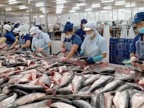 Xuất khẩu thủy sản tháng 1 tăng mạnh hơn 60%: Kỳ vọng năm 2024 thắng lớn