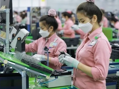 Trung Quốc là thị trường cung cấp điện thoại các loại và linh kiện lớn nhất cho Việt Nam