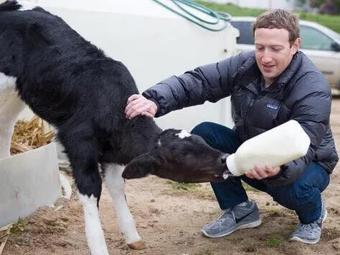 Con gái Mark Zuckerberg từng nghĩ bố mình đi chăn bò kiếm sống