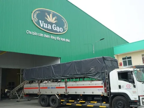 King Green - Doanh nghiệp trúng gói thầu 33.500 tấn gạo của Indonesia là ai?