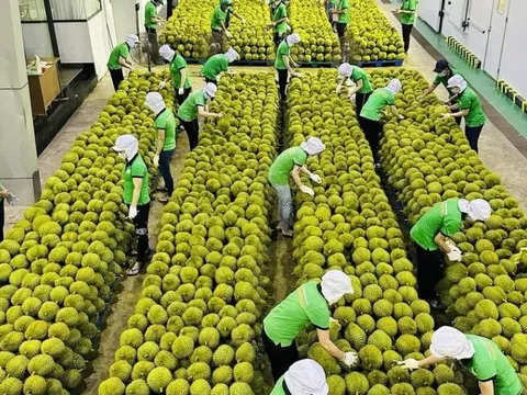 Những mặt hàng giúp xuất khẩu tăng trưởng tích cực từ đầu năm 2024