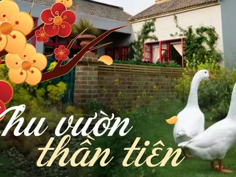 Cặp vợ chồng 40 tuổi "trốn phố" về quê tạo khu vườn thần tiên, sống một cuộc đời thật đẹp