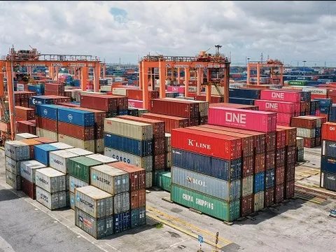 Viconship có Tổng Giám đốc mới