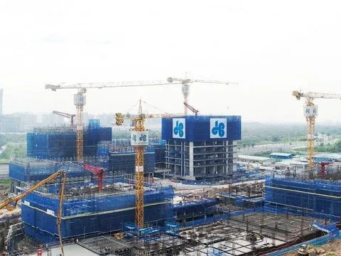 Xây dựng Hòa Bình (HBC) khởi kiện một đơn vị thành viên có vốn nghìn tỷ của CT Group