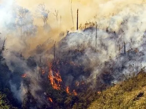 Bộ NN&PTNT đề nghị khẩn trương khống chế, dập tắt cháy rừng ở Sa Pa