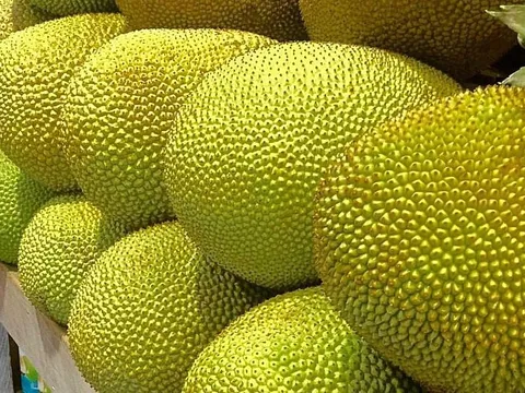 Xuất khẩu tăng đột biến, mít vượt qua tất cả các loại quả