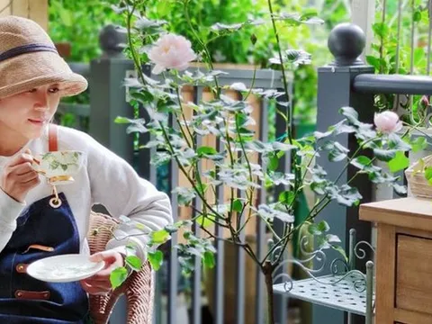 Mất 5 năm chăm bón, mẹ đảm đã tạo ra khu vườn quanh năm xanh mát, hoa nở bốn mùa