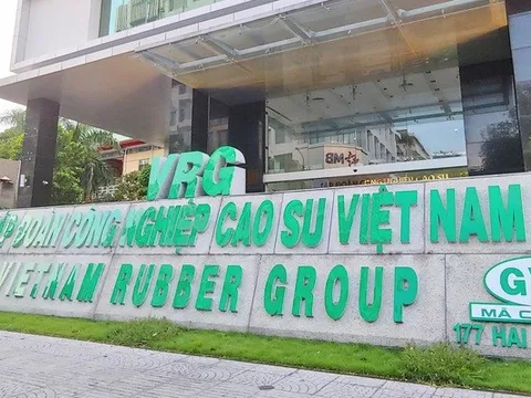 Cổ phiếu tăng 30%, giá trị vừa vượt 100.000 tỷ, GVR đón tin xấu: Thua kiện, bị buộc phải hoàn trả hơn 141 tỷ đồng