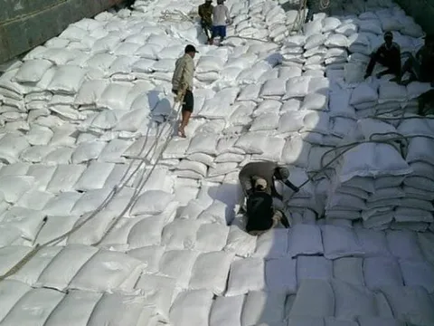 Giá lúa gạo giảm mạnh, doanh nghiệp đã ký hợp đồng lãi lớn