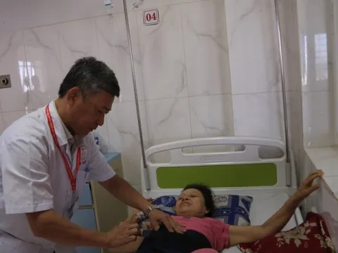 Hàng trăm người gặp nạn trong lúc hái tiêu