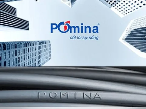 Pomina vay THACO 300 tỷ đồng và thế chấp bằng 66 triệu cố phiếu POM, Chủ tịch nói: Không liên quan đến đợt tái cấu trúc