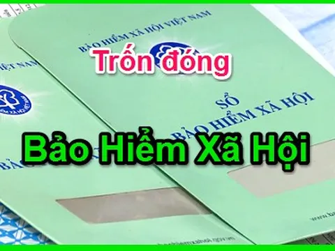 Lần đầu tiên khởi tố doanh nghiệp ở Phú Yên trốn đóng bảo hiểm xã hội