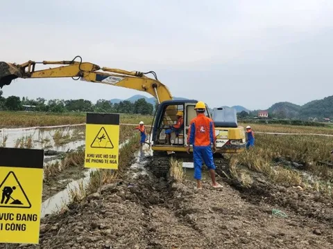 Đôi nét về Công ty Phương Hạnh vừa bị Chủ tịch Tổng công ty Truyền tải điện quốc gia doạ "trảm"