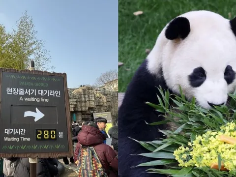 "Đỉnh lưu pandabiz" Fubao trong ngày làm cuối cùng tại Hàn: Fan xếp hàng từ 3 giờ sáng chỉ để được gặp trong 5 phút