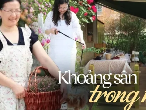 Rời thành phố tấp nập, người phụ nữ dành 8 năm xây dựng một sân nhỏ đầy hoa để già đi một cách xinh đẹp