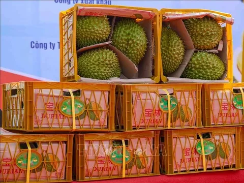 Nông sản Việt thừa thắng tăng tốc