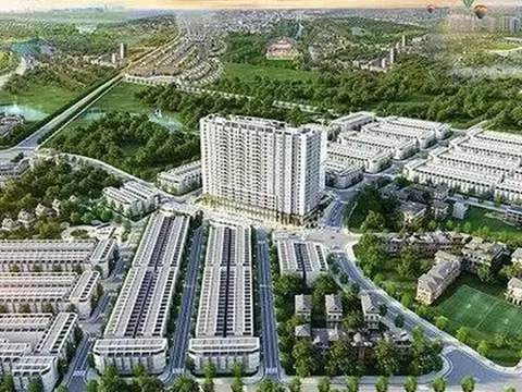 Quảng Ngãi yêu cầu sở, ngành cung cấp tài liệu Tập đoàn Phúc Sơn cho Cục Cảnh sát kinh tế