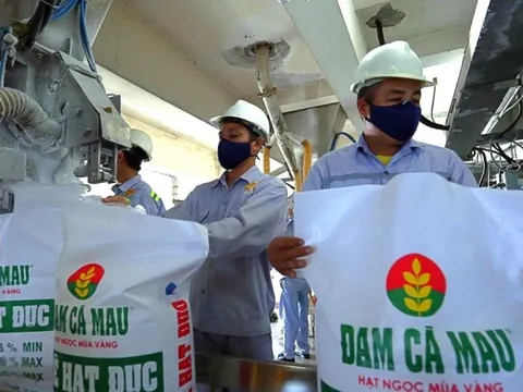 Lợi nhuận giảm sâu, công ty phân bón lớn nhất trên sàn chứng khoán vẫn chi bình quân gần 44 triệu đồng/tháng/người cho hơn nghìn nhân viên