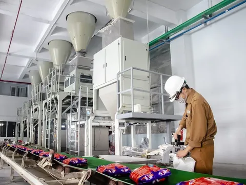 Hóa chất Đức Giang (DGC) lên kế hoạch lợi nhuận 2024 giảm, muốn sáp nhập PAT vào tập đoàn