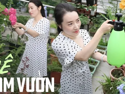 Cô gái biến ngôi nhà ba tầng của mình thành "biển hoa", cho rằng thà trồng hoa còn hơn tìm bạn đời