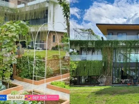 Cặp vợ chồng bỏ phố về ngoại thành Hà Nội làm nhà villa trên mảnh đất 2000m2: Chi 10 tỷ rồi vẫn chưa đủ!