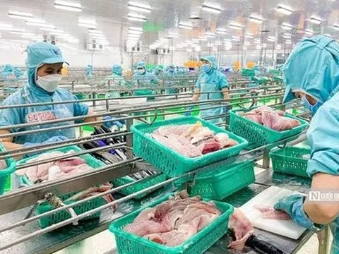 Vừa phục hồi, xuất khẩu thủy sản lại trên đà sụt giảm