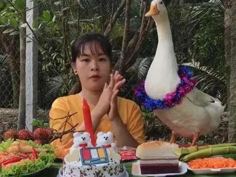 SâuTivi - cô gái ở miền Tây đổi đời nhờ chú vịt xuất hiện trong dự án đặc biệt của hãng phim nổi tiếng thế giới