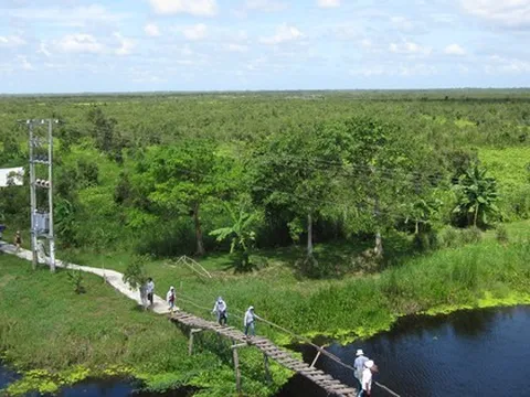 NÓNG: Bắt tạm giam nguyên Giám đốc Vườn Quốc gia U Minh Thượng