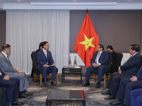 Công ty điện gió hàng đầu thế giới phát triển dự án ngoài khơi Việt Nam