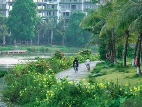 Đây là lí do vì sao tôi lại chọn mua nhà ở ngoại ô thay vì trung tâm thành phố