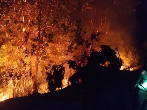 Lâm Đồng: Kịp thời dập tắt vụ cháy rừng trong đêm