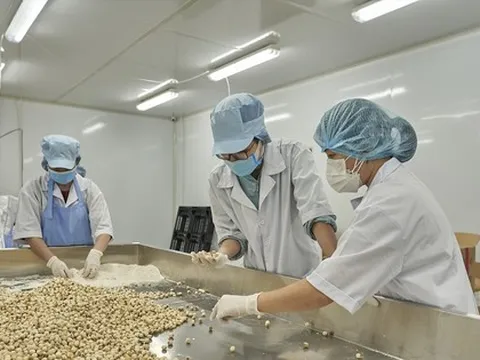 Vốn cho doanh nghiệp: Kẻ ăn không hết, người lần chẳng ra