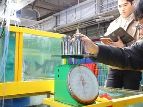 Khách hàng tố tiểu thương chợ hải sản "cân điêu" bán giá cao, nhà chức trách cho người cải trang đi xác thực và cái kết