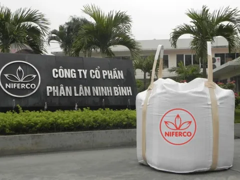 Phân lân Ninh Bình: Mở rộng xuất khẩu nhờ thương mại điện tử