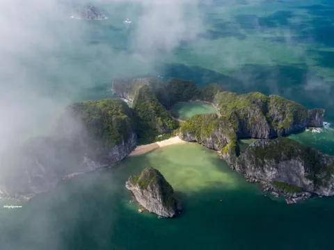 Bên trong hòn đảo đẹp lạ ở miền Bắc: Rừng Giá bao quanh "mắt rồng", chứa đầy chất độc