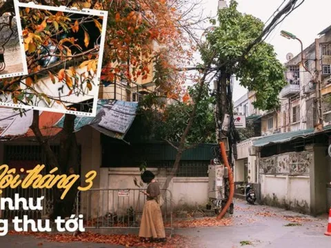 Chẳng ngờ sau một đêm ngủ say mà Hà Nội đã "khoác màu áo mới", đẹp đến nao lòng